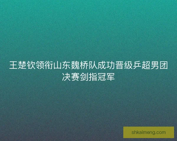 王楚钦领衔山东魏桥队成功晋级乒超男团决赛剑指冠军